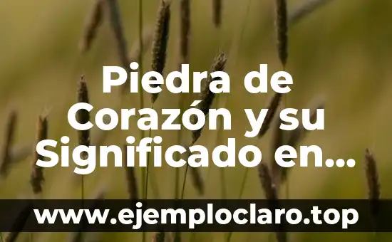 Piedra de Corazón y su Significado en el Mundo de los Pingüinos