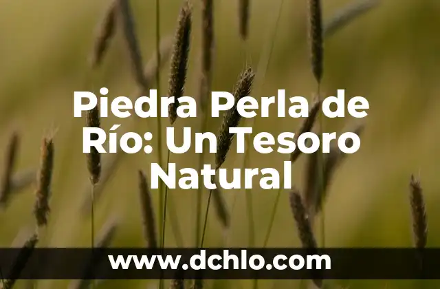 La Joven de la Perla Película: Una Historia de Arte y Belleza 6 Piedra Perla de Río: Un Tesoro Natural