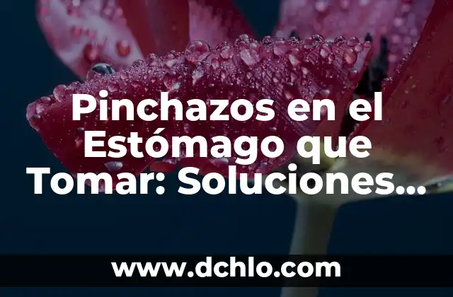 ¿Qué Tomar para Diarrea en Adultos? - Remedios Naturales y Medicamentos 8 Pinchazos en el Estómago que Tomar: Soluciones y Remedios Naturales