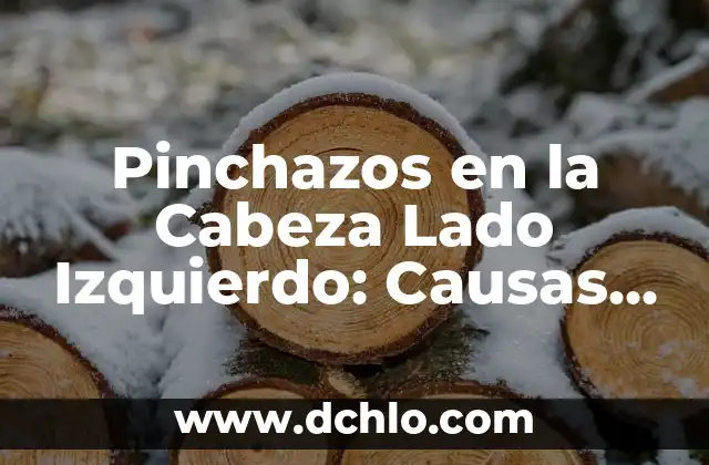 Mi Perro Se Rasca Mucho y No Tiene Nada: Causas y Soluciones 8 Pinchazos en la Cabeza Lado Izquierdo: Causas y Tratamientos