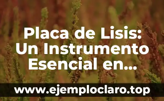 Caleidoscopio, el Instrumento Óptico de la Belleza 4 Placa de Lisis: Un Instrumento Esencial en Laboratorios