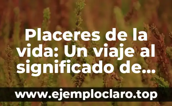 Placeres de la vida: Un viaje al significado de las pequeñas alegrías