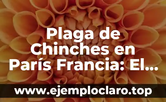 La Primera Etapa del Tour de Francia: Todo lo que Necesitas Saber 7 Plaga de Chinches en París Francia: El Problema de Salud Pública que Preocupa a los Turistas y Residentes
