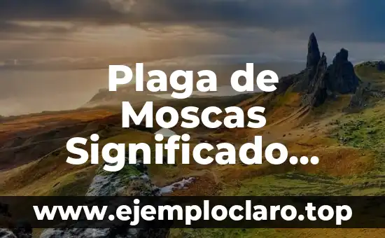 Plaga de Moscas Significado Bíblico