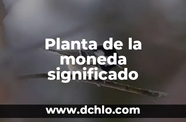 El Significado de la Palabra Galimatias 6 Planta de la moneda significado