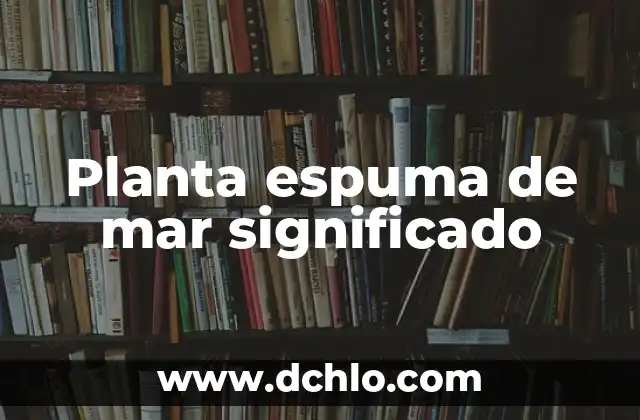 Significado de Oleaje: Entendiendo el Movimiento del Mar 4 Planta espuma de mar significado