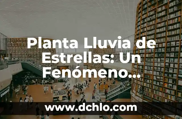 Heber Fareg: Descubriendo el Significado de un Nombre Único 4 Planta Lluvia de Estrellas: Un Fenómeno Celestial Único