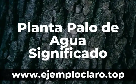 Planta Palo de Agua Significado