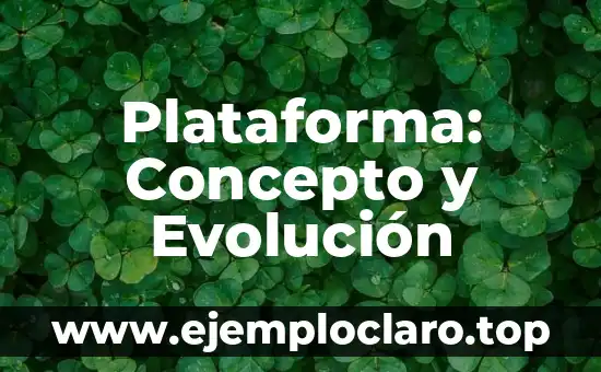 Plataforma: Concepto y Evolución