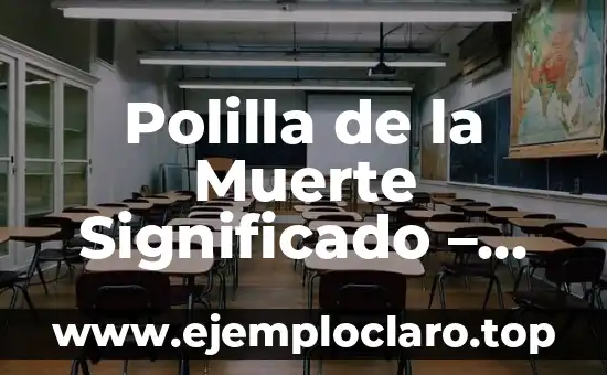 Polilla de la Muerte Significado - Un Análisis Profundo