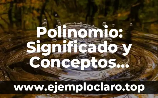 Asentamiento Humano: Definición y Conceptos Básicos 8 Polinomio: Significado y Conceptos Básicos