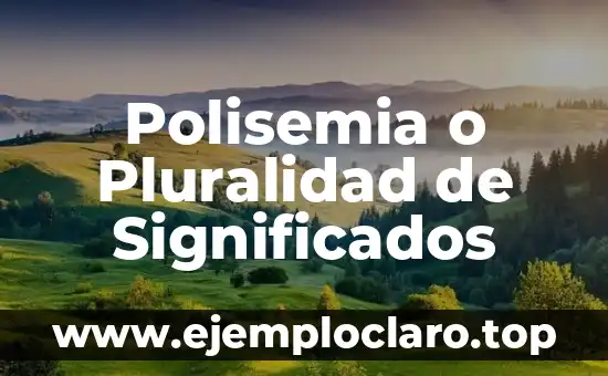 Significado del Valor de Pluralidad 7 Polisemia o Pluralidad de Significados