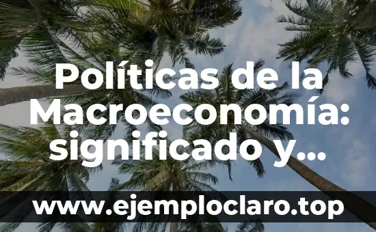 Políticas de la Macroeconomía: significado y contexto