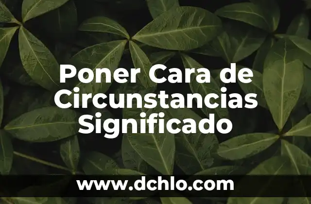 ¿Qué Poner Al Sofá Para Que No Se Hundas? Soluciones Prácticas y Efectivas 3 Poner Cara de Circunstancias Significado