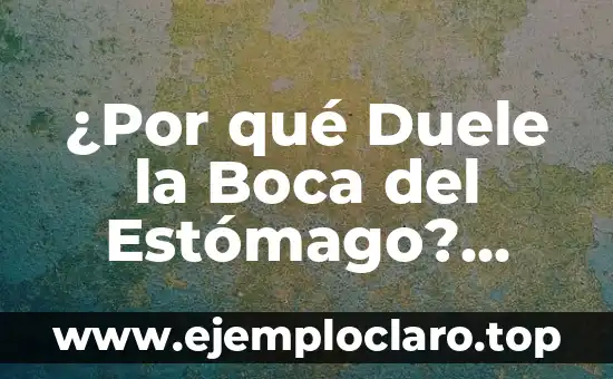 ¿Por qué Duele la Boca del Estómago? (Dolor en la boca del estómago)