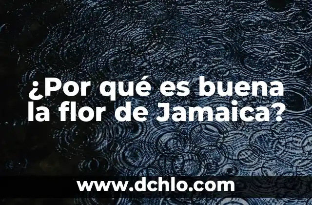 Tatuaje Flor de la Vida Significado 8 ¿Por qué es buena la flor de Jamaica?