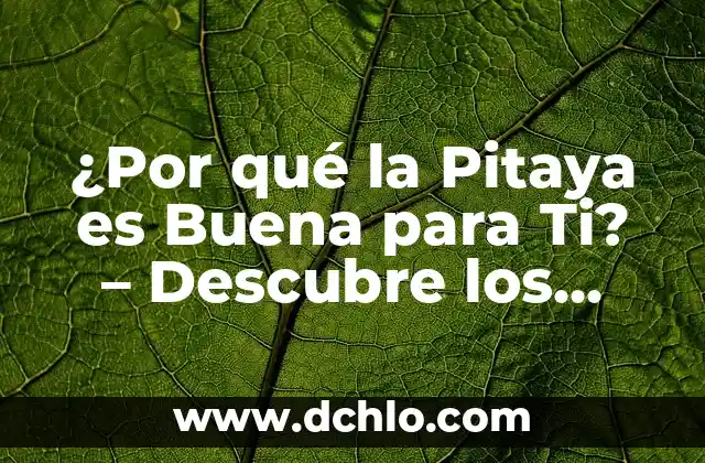 La Zanahoria es Buena para los Perros: Descubre los Beneficios 8 ¿Por qué la Pitaya es Buena para Ti? – Descubre los Beneficios de esta Fruta Exótica