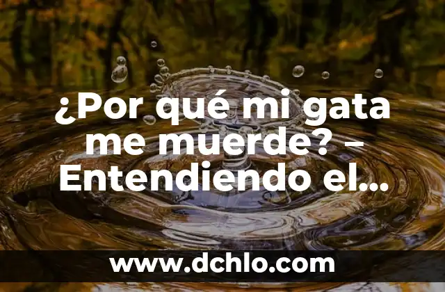 ¿Qué Significa Soñar que una Serpiente te Muerde? Análisis y Interpretación de los Sueños 4 ¿Por qué mi gata me muerde? – Entendiendo el comportamiento agresivo en gatos