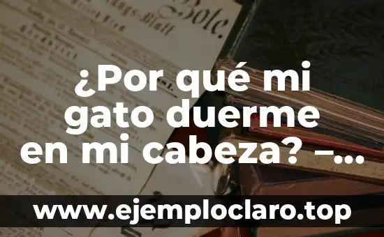 Significado de Felino 6 ¿Por qué mi gato duerme en mi cabeza? – El misterio detrás de este comportamiento felino