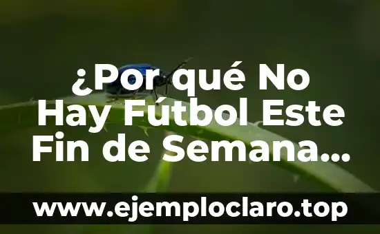 ¿Por qué No Hay Fútbol Este Fin de Semana en España?