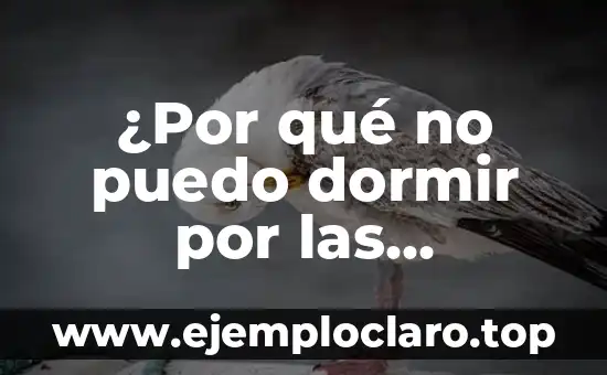 ¿Por qué no puedo dormir por las noches?: Solucionando el problema del insomnio