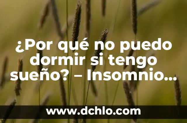 Cómo Superar el Insomnio sin Pastillas: Soluciones Naturales y Efectivas 7 ¿Por qué no puedo dormir si tengo sueño? – Insomnio y Dificultades para Dormir