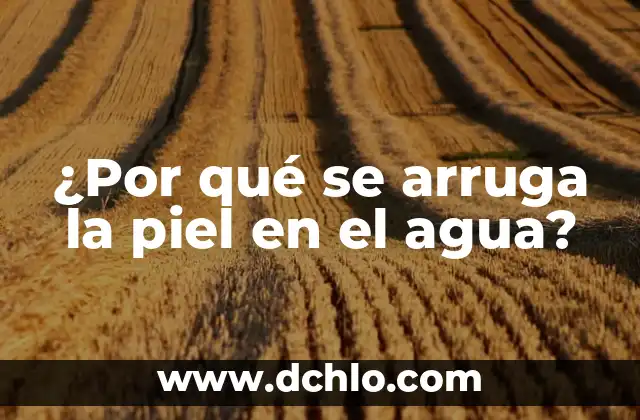 Tiene la piel de gallina significado 7 ¿Por qué se arruga la piel en el agua?