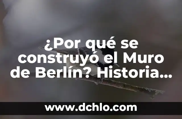 ¿Quién construyó el Muro de Berlín? - Historia y Contexto 6 ¿Por qué se construyó el Muro de Berlín? Historia y Significado