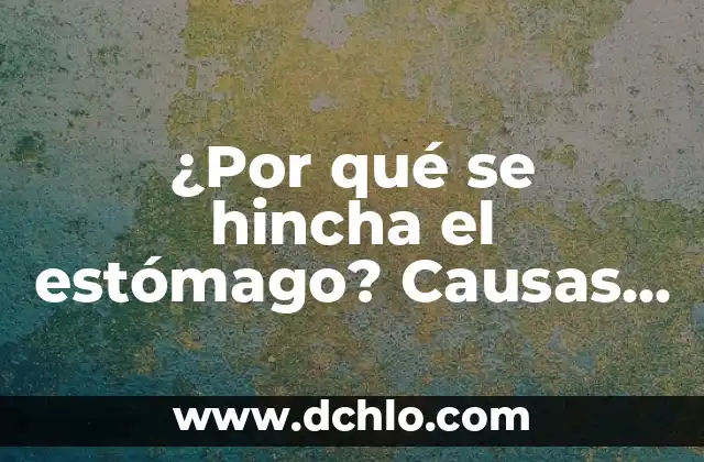 Dolores de Estómago en el Embarazo: Causas y Remedios Naturales 6 ¿Por qué se hincha el estómago? Causas y soluciones