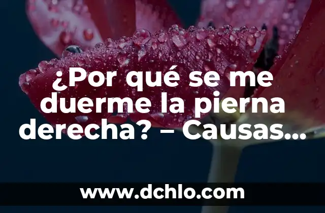 Dolor en el pecho parte derecha: causas, síntomas y tratamiento 6 ¿Por qué se me duerme la pierna derecha? – Causas y Soluciones