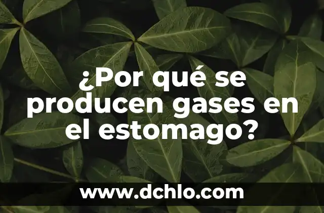 Enfermedades que producen sueño y dolor de cabeza: Descubre las causas y síntomas 5 ¿Por qué se producen gases en el estomago?