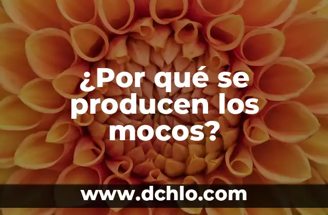 Enfermedades que producen sueño y dolor de cabeza: Descubre las causas y síntomas 7 ¿Por qué se producen los mocos?