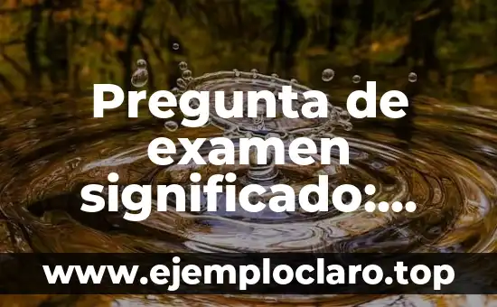 Pregunta de examen significado: Guía completa y detallada