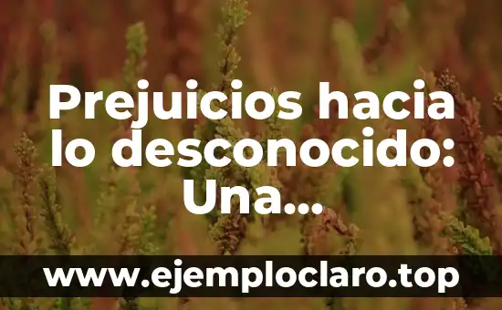 Prejuicios hacia lo desconocido: Una exploración filosófica