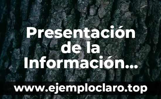 Como hacer la presentación de la tesis 8 Presentación de la Información Significado