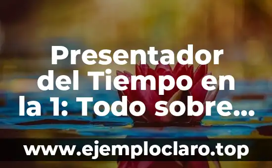Presentador del Tiempo en la 1: Todo sobre el Profesionista que Predice el Clima