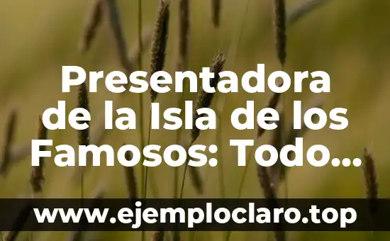 ¿Qué le ha pasado a Itziar? La verdad sobre la vida de la famosa presentadora 3 Presentadora de la Isla de los Famosos: Todo sobre el Programa de Televisión
