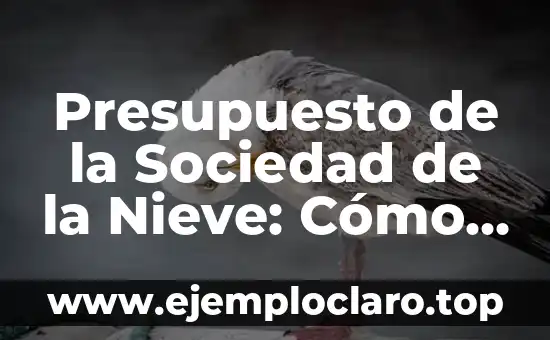 Presupuesto de la Sociedad de la Nieve: Cómo Administrar tus Finanzas en una Organización de Esquí