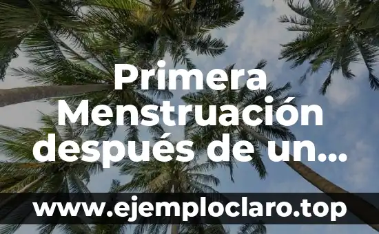 Cómo Hacer una Firma Electrónica en PDF: Guía Detallada 8 Primera Menstruación después de un Aborto con Misoprostol: Guía Detallada