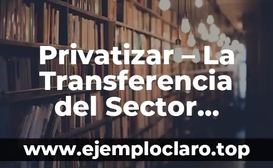Significado de las Diferencias de Género en el Sector Dev 3 Privatizar – La Transferencia del Sector Público al Privado
