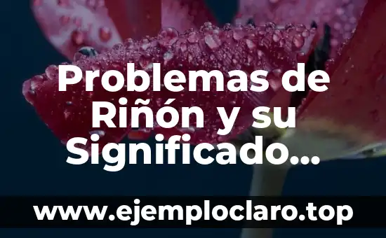 Como hacer problemas de herencia de un solo gen 4 Problemas de Riñón y su Significado Emocional