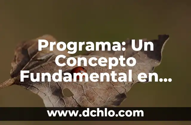 Quién ganó la final de Bailando con las Estrellas: Descubre a los Campeones del Programa de Baile Más Popular 7 Programa: Un Concepto Fundamental en Diversas Disciplinas