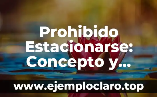 Capital Social de una Empresa - Concepto clave en Finanzas 8 Prohibido Estacionarse: Concepto y Regulaciones