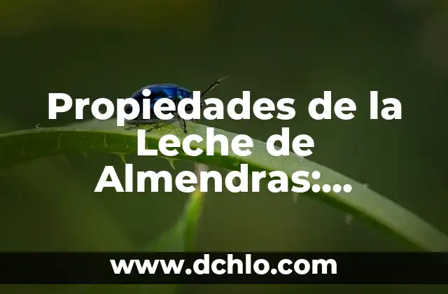 Baño de Pitch - Significado y Propiedades 5 Propiedades de la Leche de Almendras: Beneficios y Usos