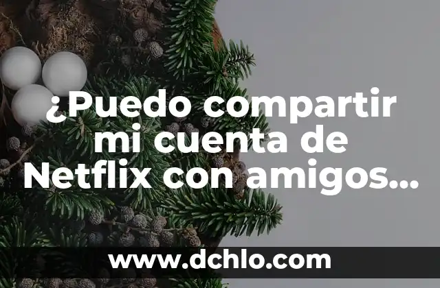 ¿Puedo Ir Sin Camiseta por la Calle? Reglas y Precauciones 4 ¿Puedo compartir mi cuenta de Netflix con amigos y familiares?