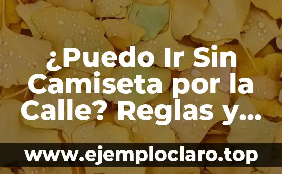 ¿Puedo Ir Sin Camiseta por la Calle? Reglas y Precauciones