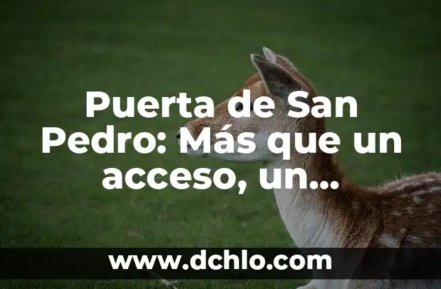 Mejores significados de San Valentín 7 Puerta de San Pedro: Más que un acceso, un símbolo de fe