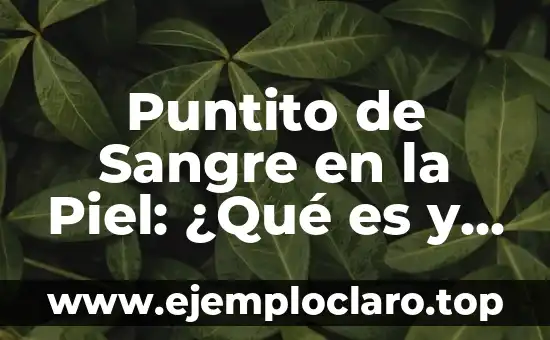 ¿De qué año es Dragon Ball? - Una guía completa sobre la historia de Dragon Ball 4 Puntito de Sangre en la Piel: ¿Qué es y Cómo Tratarlo?