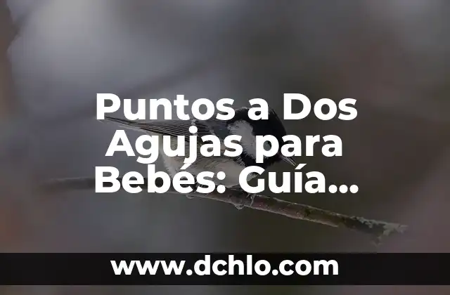 ¿Cuánto dura un bote de leche de bebe: Guía completa para padres primerizos 4 Puntos a Dos Agujas para Bebés: Guía Completa para Padres Primerizos