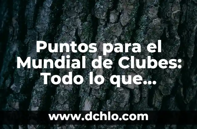 Cómo Obtener 15 Puntos en el Examen de Admisión Universitaria 4 Puntos para el Mundial de Clubes: Todo lo que Necesitas Saber